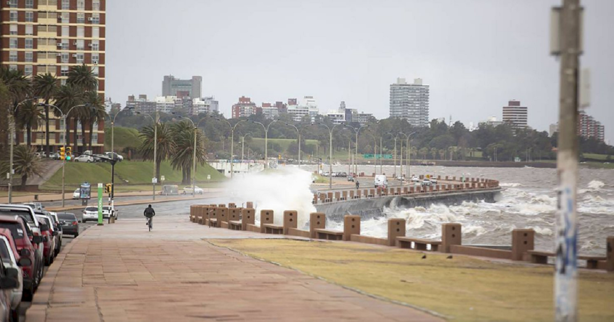 Uruguay: encontraron una cabeza descuartizada en el Río de la Plata