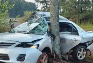 San Vicente un automovilista falleció al chocar contra un árbol