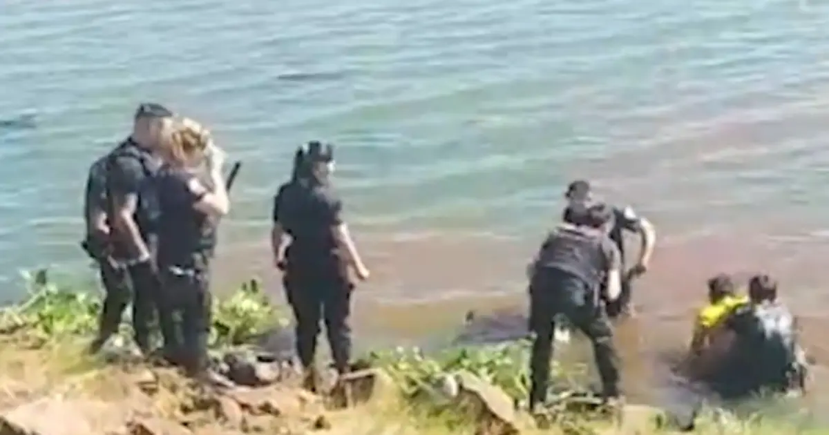 Posadas: un hombre se arrojó al río Paraná y un policía tuvo que ingresar para rescatarlo