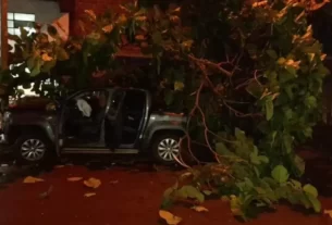 Oberá: un joven perdió el control de su camioneta y se estrelló contra un árbol