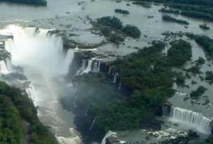 Un yacaré recorrió las pasarelas del circuito superior de las Cataratas del Iguazú